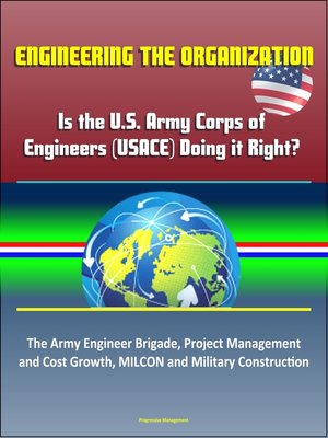 cover image of Engineering the Organization